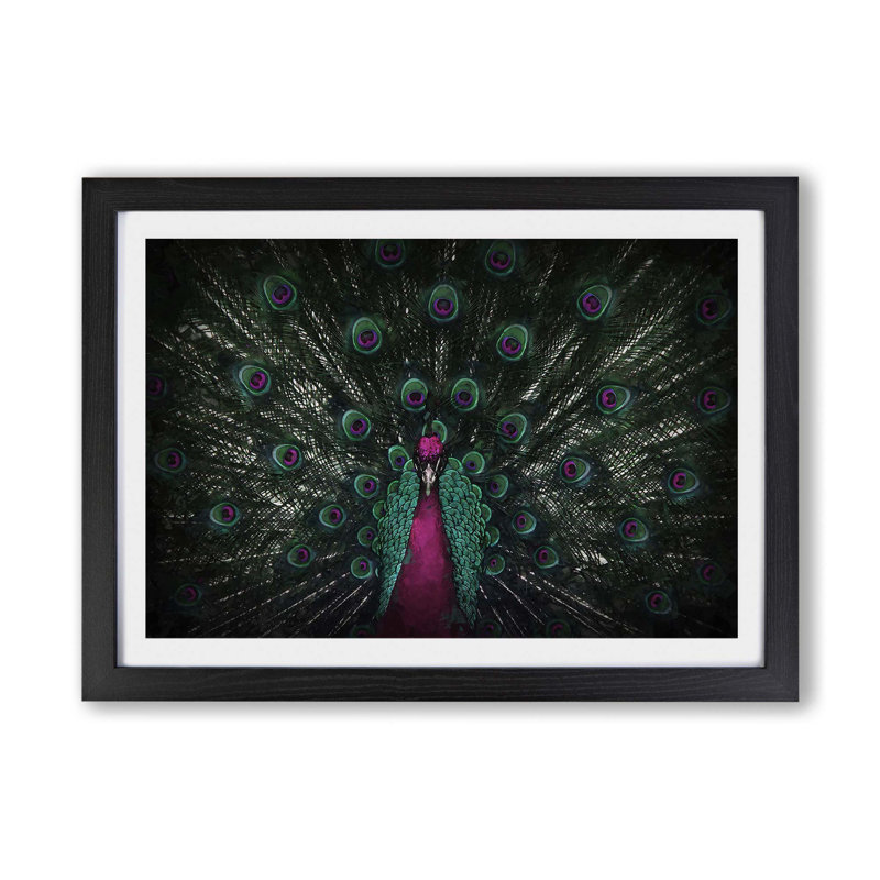 Mesmerising Pink And Green Peacock - Single Picture Frame Print, 62cm H x 87cm W x 2cm D, Black