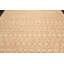 Tapis beige en laine noué à la main 8 pi 8 po x 11 pi 8 po Isabelline