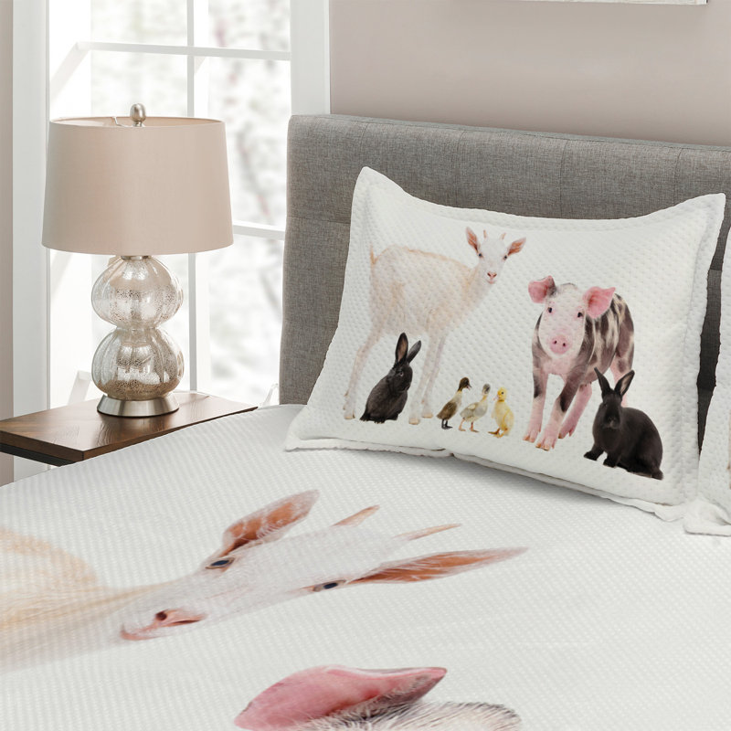 Farmhouse / Country Polyester Coverlet, Queen Bedspread + 2 Shams