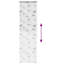 Room Darkening Roller Blind-426960517