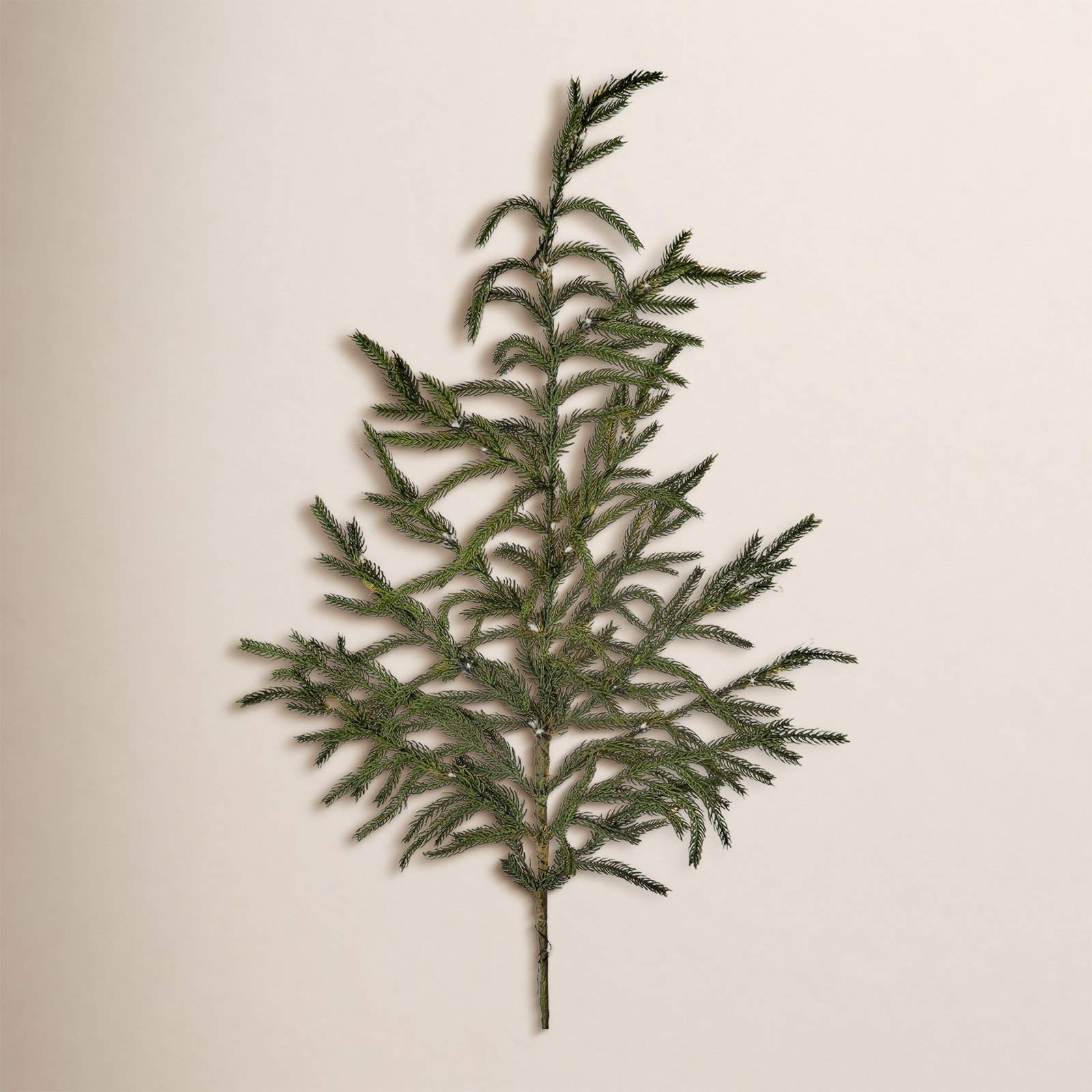 NATURAL LOOK GREENERY Norfolk Pine Stems