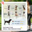 Foldable Pet Jogger Stroller
