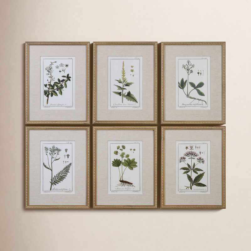 Green Floral Botanical Study by Grace Feyock Matted Distressed Gold Framed Graphic Art