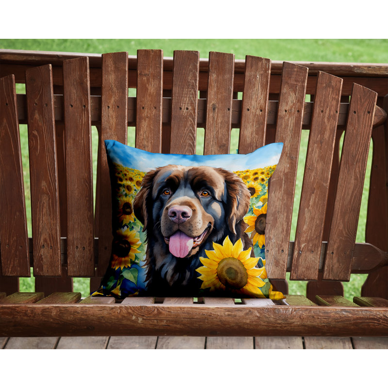 Other/No Pattern Outdoor Throw Pillow, 14" H x 14" W