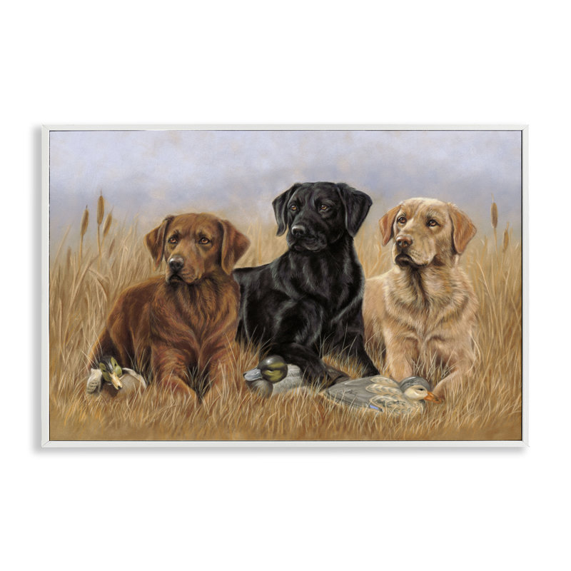 «Dog Trio & Ducks» par Victoria Schultz, Giclée encadrée blanc bord de mer, H 16 po x l 24 po