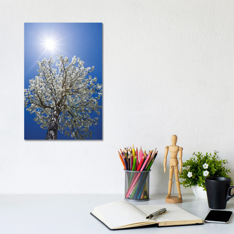 Usa, California, Bishop 1 Piece Wrapped Canvas Wall Art, 30.48cm H x 20.32cm W