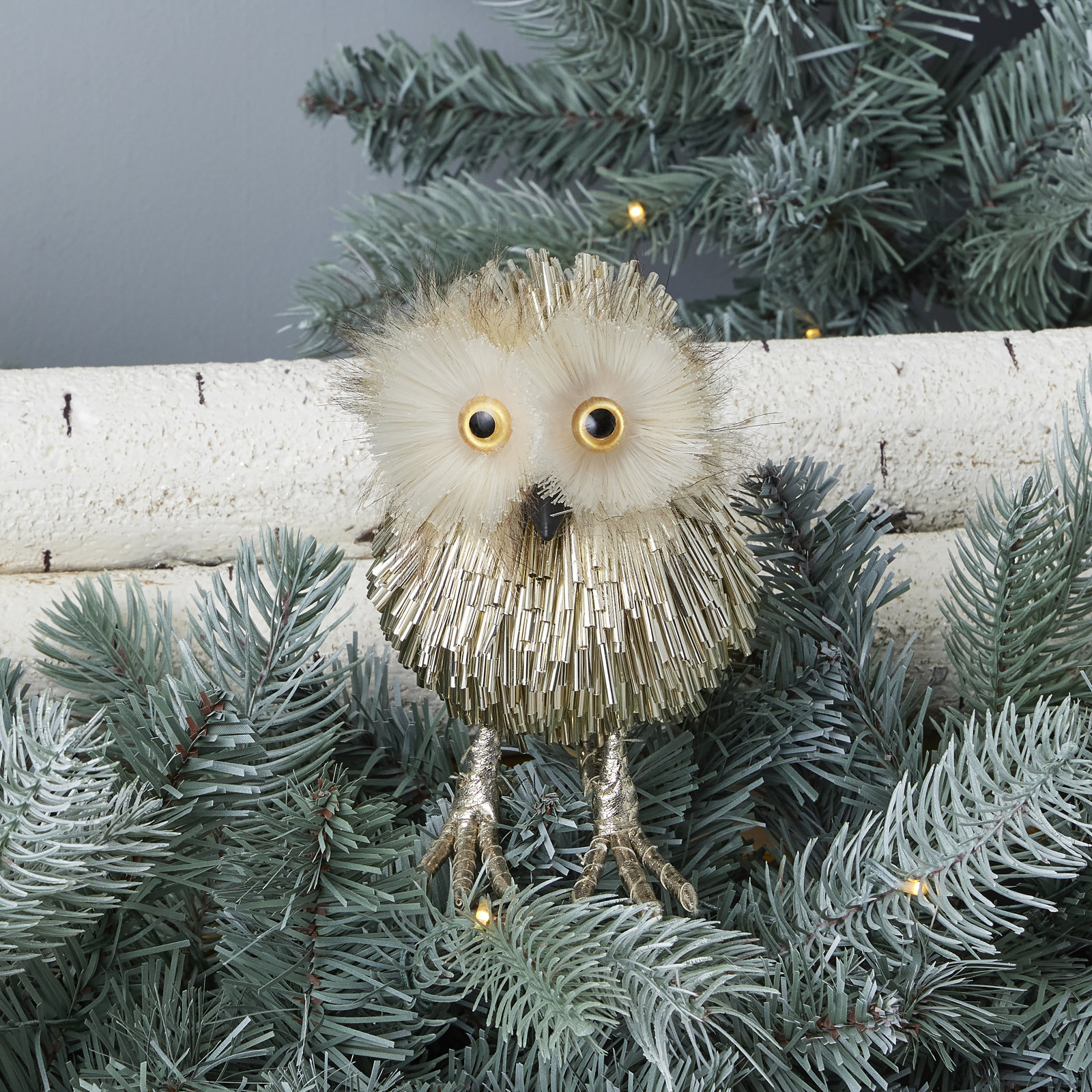 Pipa Owl - Tail Side