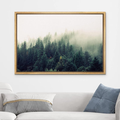 Pin vert forêt brumeux au soleil