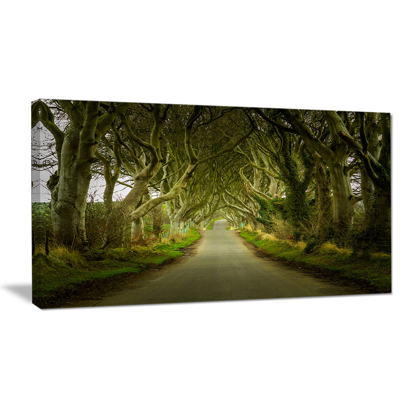 Dark Hedges Road Landscape Canvas Art Print, 32" x 16"