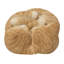 Sleeping Couple Cats-67579691