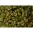 Downswept Douglas Fir Tree with Clear Lights-221982191