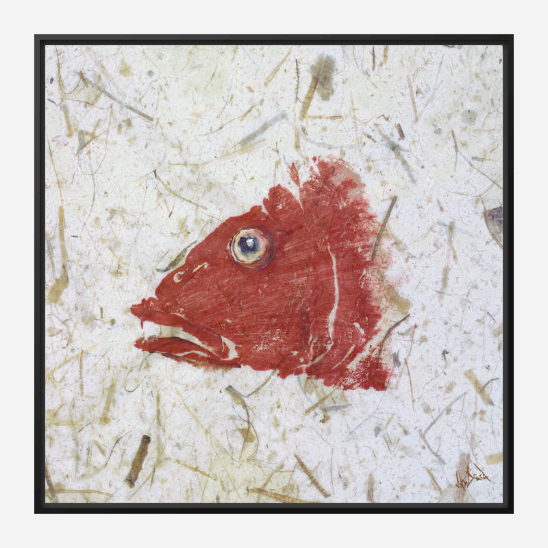 Snapper Red Print by John Beard, Black Floater Framed, 32" H x 32" W x 2" D