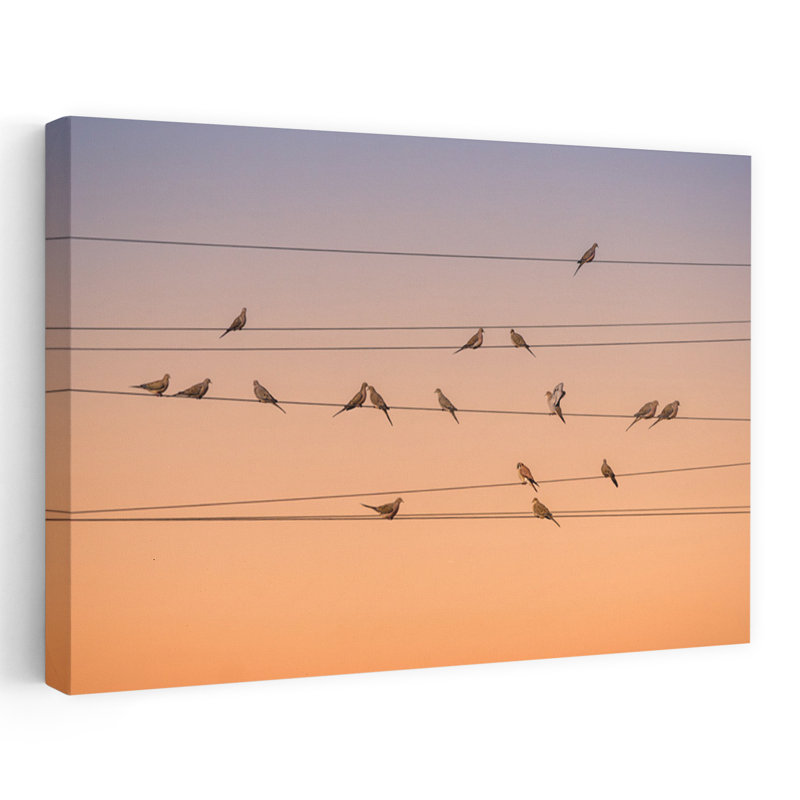 Peaceful Doves Golden Hour Colorful Peaceful Tranquil Bird Nature Sunset Wall Art Print 1 Piece Wrapped Canvas Wall Art