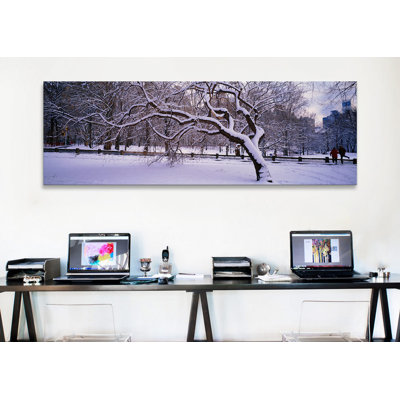 Des arbres panoramiques recouverts de neige dans un parc, central park, new york city, new york state, reproduction de photo sur toile tendue
