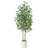 Adcock Faux Ficus Tree in White Planter-1140486949
