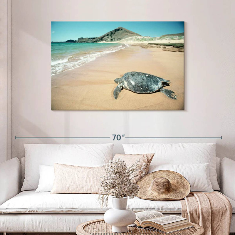 Brampt Galapagos Loggerhead Turtle, 30" H x 45" W