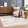 Abstract Indoor Rug