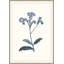 Bouquet Blue 4 Framed Print-1912970157