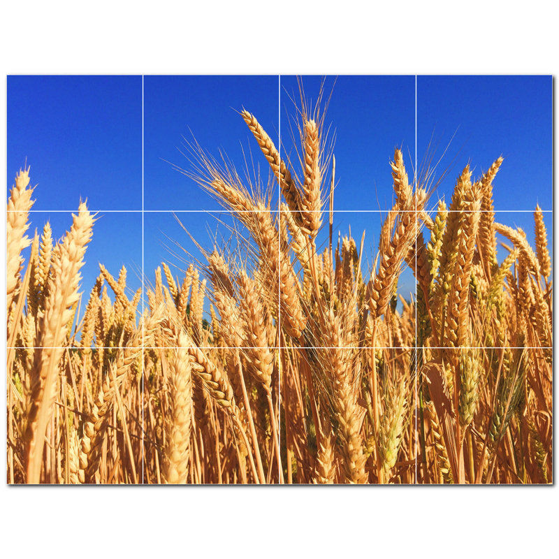 Photo de ferme 8 x 8
