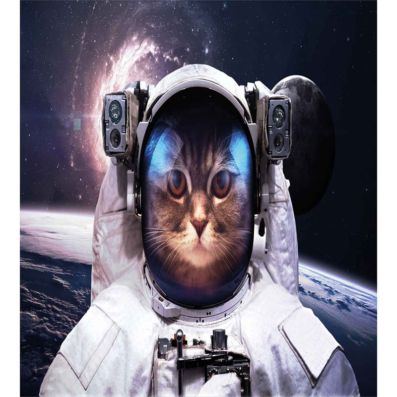 Space Cat Modern & Contemporary Polyester Duvet Cover, King