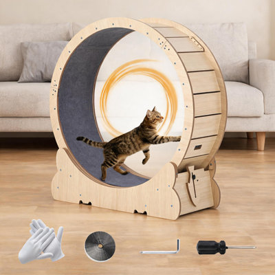 39.4" Cat Exercise Wheel, Quiet Running Treadmill with Safety Lock & Washable Carpet for Indoor Pets