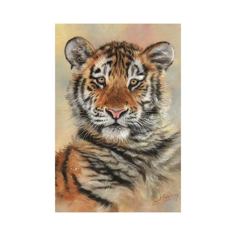 Tiger Cub Portrait by David Stribbling - Wrapped Canvas Gallery-Wrapped Canvas Giclée, 20.32 cm H x 30.48 cm W