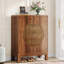 20 Pair Shoe Storage Cabinet