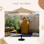 Parasol Hershell 81,9 avec contrepoids inclus-1681966085