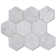8" CARRARA HONEYCOMB HONED