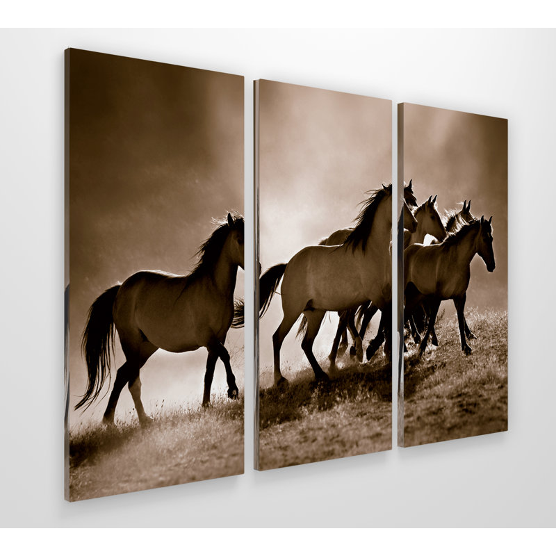 « wild horse », image multi-pièces sur toile tendue, H 32 po x l 48 po x P 1,5 po