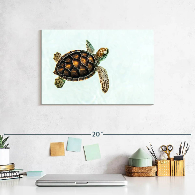 Bébé tortue Brampt, H 8 po x l 12 po