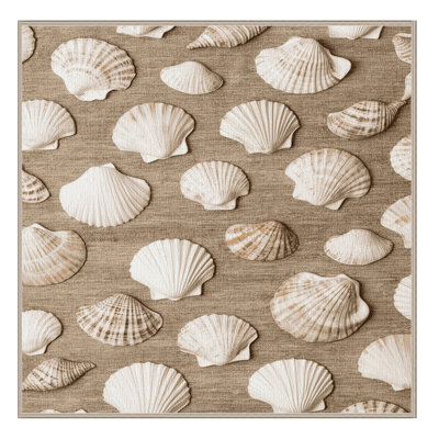 Washable Conch Collection Coastal Area Rug