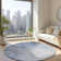 Karter Abstract Rug