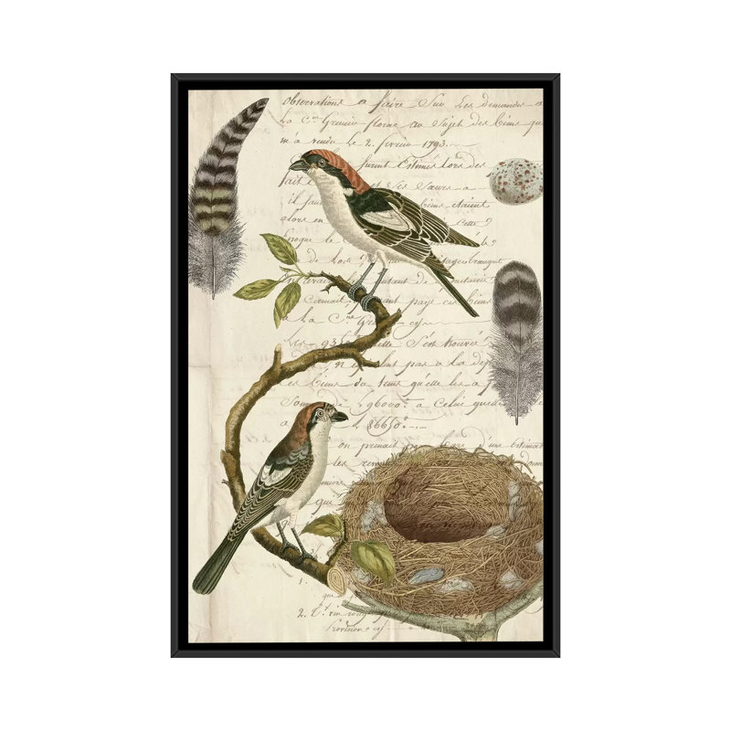 « aviaire journal i », art textuel sur toile, H 26 po x l 18 po x P 1,5 po, Toile avec cadre noir