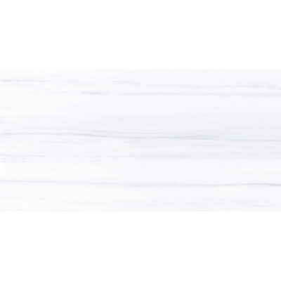 Storm 24" x 48" Porcelain Marble Look Wall & Floor Tile