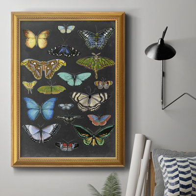 «Graphic Butterfly Taxonomie I», toile encadrée de qualité supérieure - prête à être accrochée