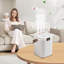 Humidificateur domestique multifonctionnel-130184928