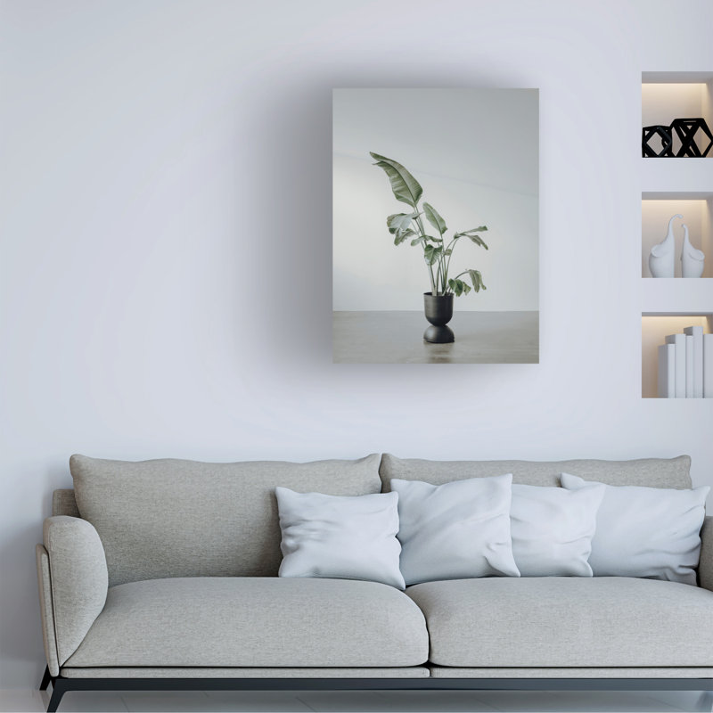 Art sur toile, «Bachelor Incado Portrait of a Plant», H 19 po x l 14 po