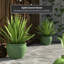Medallion Urn-347584828-347584822