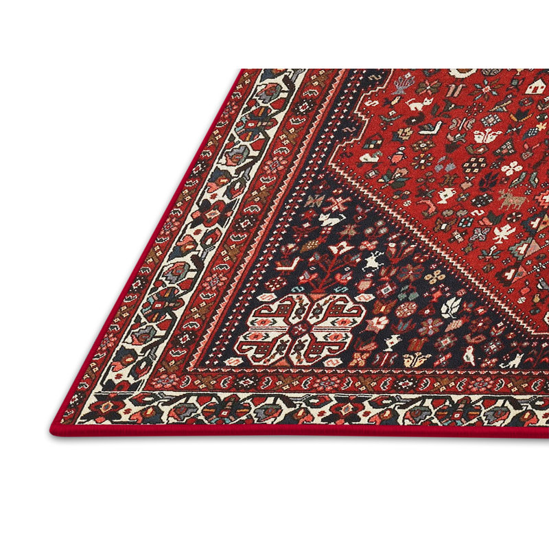 Oriental Indoor Rug, Rectangle 5' x 7'
