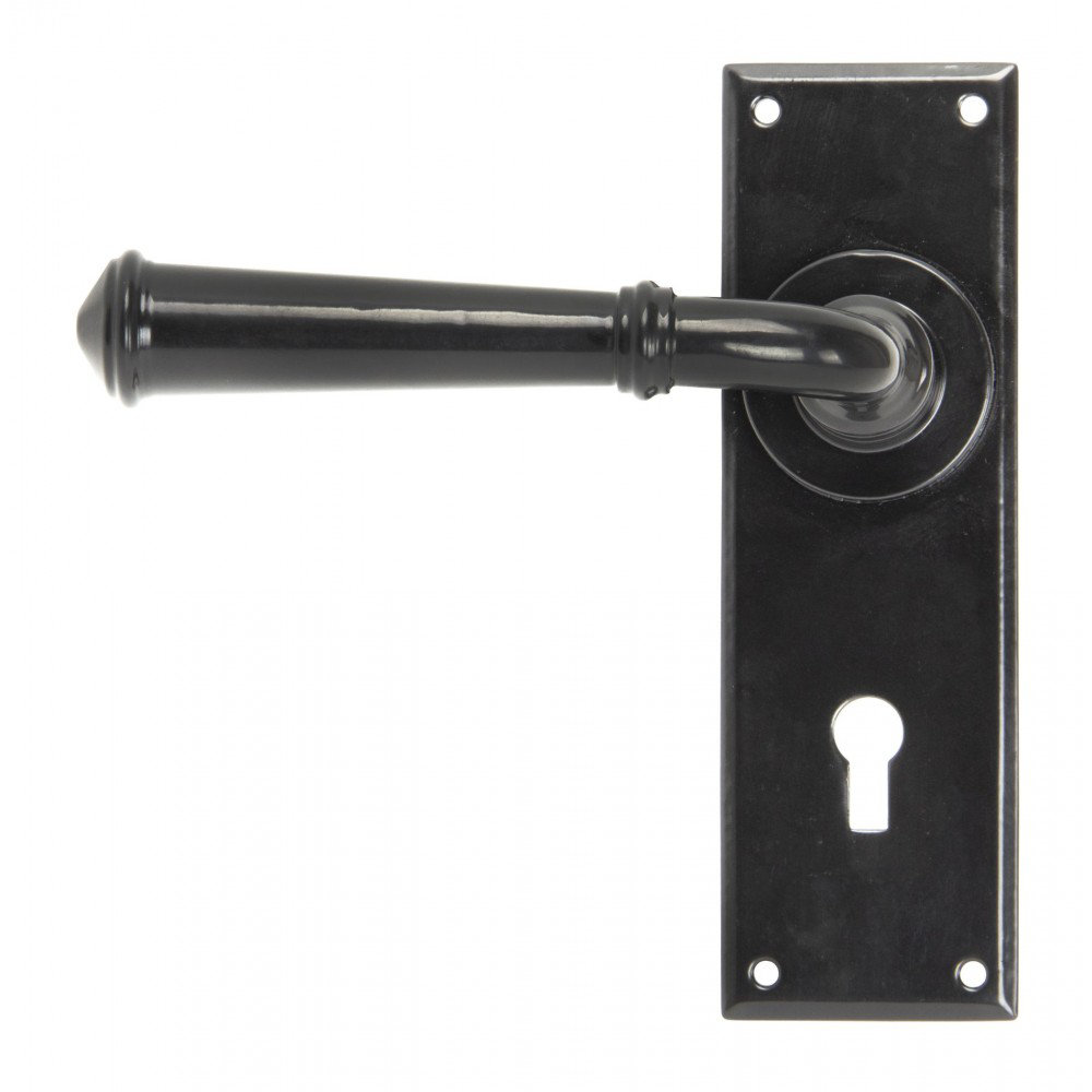 Regency Lock Door Handle Kit