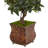 Sweet Bay Double Topiary Tree in Metal Planter