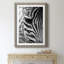Zebra Colt - Photographie avec cadre photo-1635737520-1635737521
