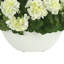 UV Protected Geranium Arrangement In Oblong Vase