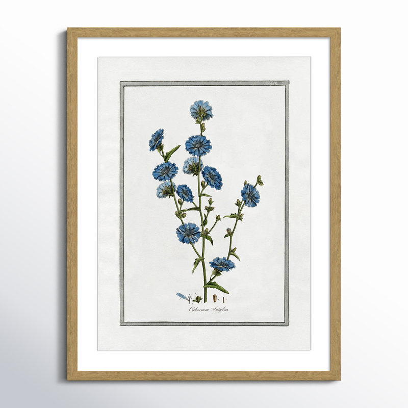 Colombe Soft Botanical I - Art encadré avec fond perdu, L 17 po x H 23 po, Cadre naturel