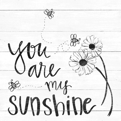 «You Are My Sunshine with Flowers and Bees», art textuel sur toile tendue