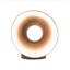 1 - Light Armed Sconce
