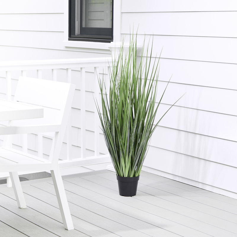Herbe d'agave en pot 48 po UV, 48 po x 15 po