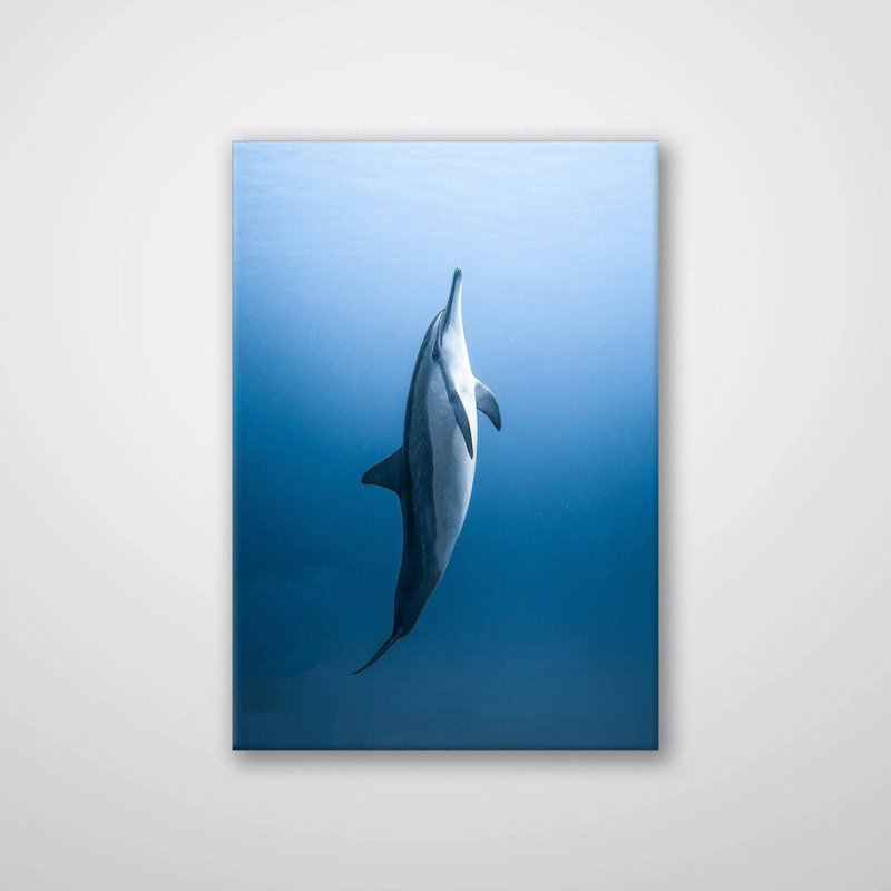 Reproduction de dauphin - art mural de la vie marine de l'océan - affiche sur toile, illustration de dauphin, nature marine - décor nautique de mer
