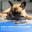 Jouets interactifs pour chien-119921551